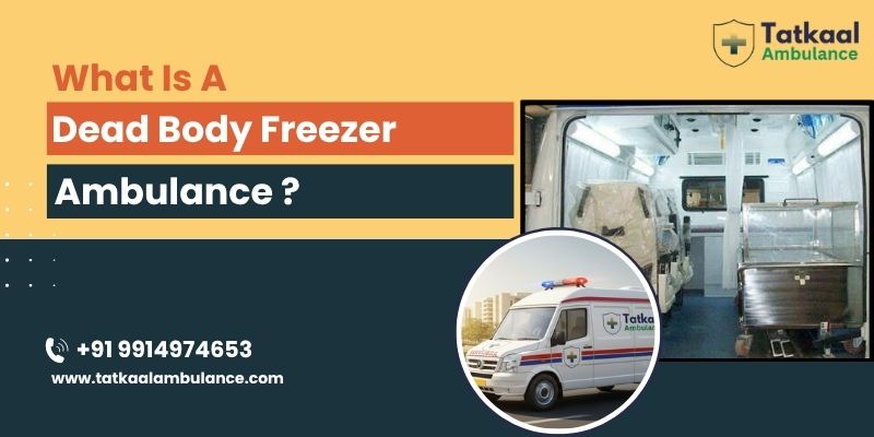 Dead Body Freezer Ambulance